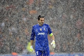 开云体育官方-德国队的赛制应对：国际乒联混合团体世界杯挑战与机遇，德国乒乓球职业联赛